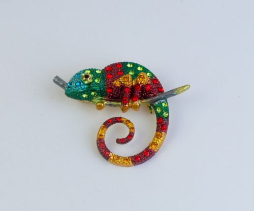 Брошка Игуана